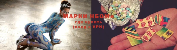 шишки Арсеньев