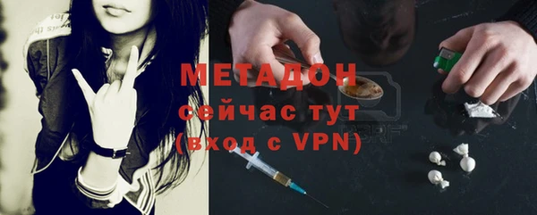 шишки Арсеньев