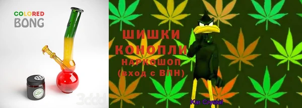 шишки Арсеньев
