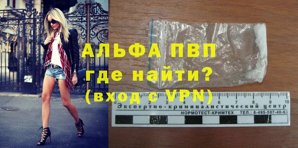 шишки Арсеньев