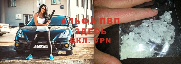 шишки Арсеньев