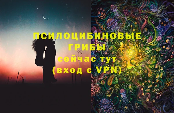 шишки Арсеньев