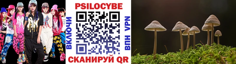 купить закладку  кракен вход  Галлюциногенные грибы Psilocybe  Свободный 